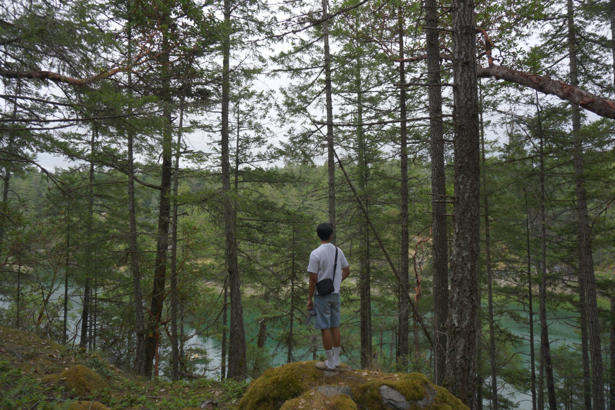 Ady standing on a mossy rock overlooking a turquoise lake through tall pines